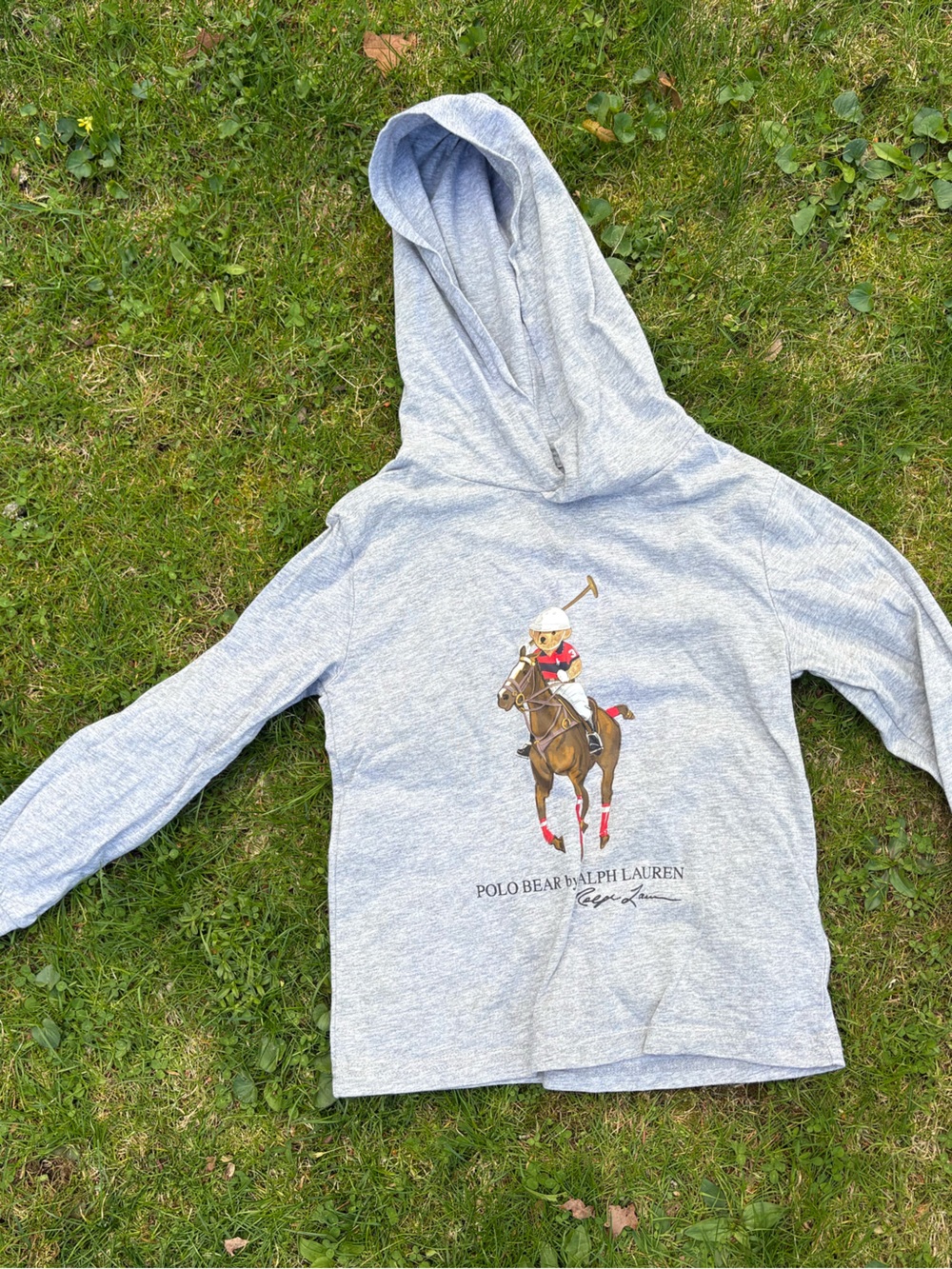 Polo by Ralph Lauren Heather Gray Hooded Sweatshirt with Embroidered Polo Motif